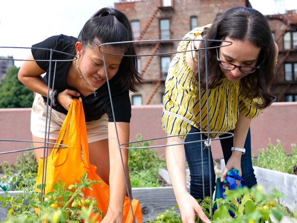 students in garden