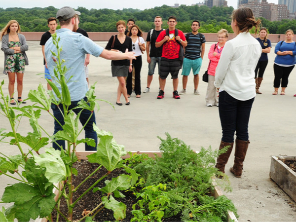 Environmental Science Thumbnail